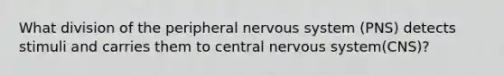 What division of the peripheral <a href='https://www.questionai.com/knowledge/kThdVqrsqy-nervous-system' class='anchor-knowledge'>nervous system</a> (PNS) detects stimuli and carries them to central nervous system(CNS)?