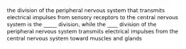 the division of the peripheral nervous system that transmits electrical impulses from sensory receptors to the central nervous system is the _____ division, while the ____ division of the peripheral nervous system transmits electrical impulses from the central nervous system toward muscles and glands