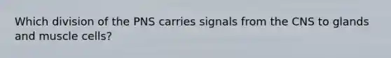 Which division of the PNS carries signals from the CNS to glands and muscle cells?