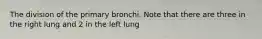 The division of the primary bronchi. Note that there are three in the right lung and 2 in the left lung