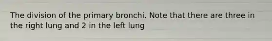 The division of the primary bronchi. Note that there are three in the right lung and 2 in the left lung