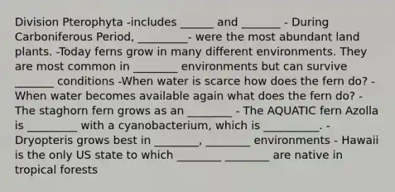 Division Pterophyta -includes ______ and _______ - During Carboniferous Period, _________- were the most abundant land plants. -Today ferns grow in many different environments. They are most common in ________ environments but can survive _______ conditions -When water is scarce how does the fern do? -When water becomes available again what does the fern do? -The staghorn fern grows as an ________ - The AQUATIC fern Azolla is _________ with a cyanobacterium, which is __________. -Dryopteris grows best in ________, ________ environments - Hawaii is the only US state to which ________ ________ are native in tropical forests