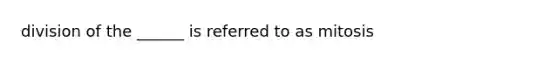 division of the ______ is referred to as mitosis