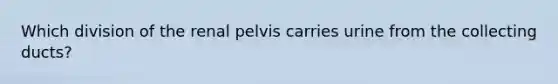 Which division of the renal pelvis carries urine from the collecting ducts?