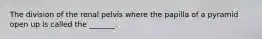 The division of the renal pelvis where the papilla of a pyramid open up is called the _______.