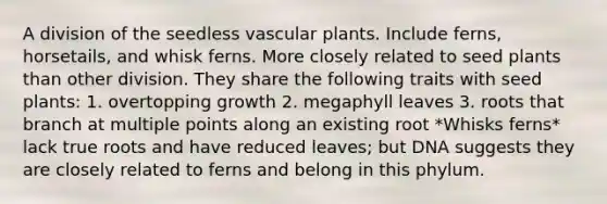 A division of the seedless vascular plants. Include ferns, horsetails, and whisk ferns. More closely related to seed plants than other division. They share the following traits with seed plants: 1. overtopping growth 2. megaphyll leaves 3. roots that branch at multiple points along an existing root *Whisks ferns* lack true roots and have reduced leaves; but DNA suggests they are closely related to ferns and belong in this phylum.