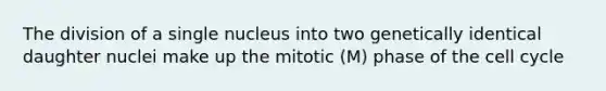 The division of a single nucleus into two genetically identical daughter nuclei make up the mitotic (M) phase of the cell cycle