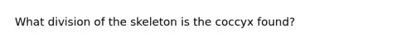 What division of the skeleton is the coccyx found?