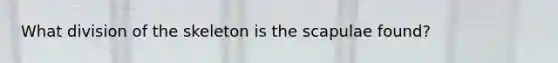 What division of the skeleton is the scapulae found?