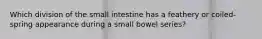 Which division of the small intestine has a feathery or coiled-spring appearance during a small bowel series?