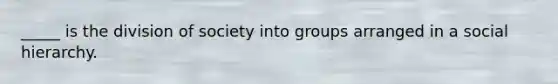 _____ is the division of society into groups arranged in a social hierarchy.