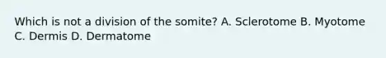 Which is not a division of the somite? A. Sclerotome B. Myotome C. Dermis D. Dermatome