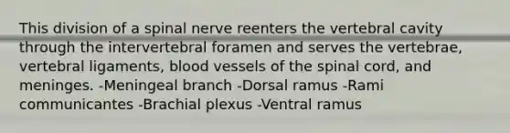 This division of a spinal nerve reenters the vertebral cavity through the intervertebral foramen and serves the vertebrae, vertebral ligaments, blood vessels of the spinal cord, and meninges. -Meningeal branch -Dorsal ramus -Rami communicantes -Brachial plexus -Ventral ramus