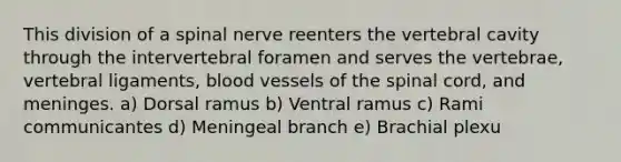 This division of a spinal nerve reenters the vertebral cavity through the intervertebral foramen and serves the vertebrae, vertebral ligaments, blood vessels of the spinal cord, and meninges. a) Dorsal ramus b) Ventral ramus c) Rami communicantes d) Meningeal branch e) Brachial plexu