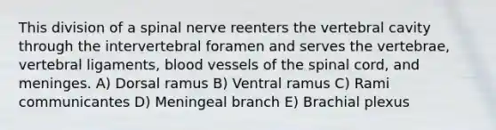 This division of a spinal nerve reenters the vertebral cavity through the intervertebral foramen and serves the vertebrae, vertebral ligaments, blood vessels of the spinal cord, and meninges. A) Dorsal ramus B) Ventral ramus C) Rami communicantes D) Meningeal branch E) Brachial plexus