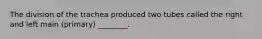 The division of the trachea produced two tubes called the right and left main (primary) ________.
