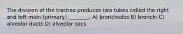 The division of the trachea produces two tubes called the right and left main (primary) ________. A) bronchioles B) bronchi C) alveolar ducts D) alveolar sacs