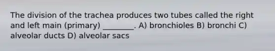 The division of the trachea produces two tubes called the right and left main (primary) ________. A) bronchioles B) bronchi C) alveolar ducts D) alveolar sacs