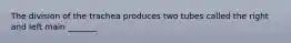 The division of the trachea produces two tubes called the right and left main _______.
