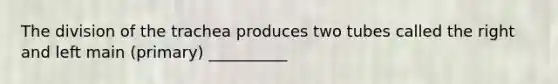 The division of the trachea produces two tubes called the right and left main (primary) __________