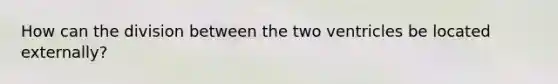 How can the division between the two ventricles be located externally?