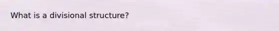 What is a divisional structure?