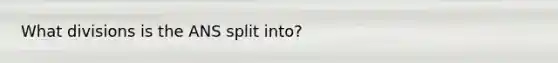What divisions is the ANS split into?