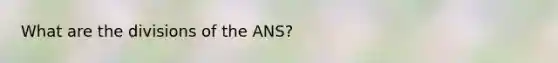 What are the divisions of the ANS?