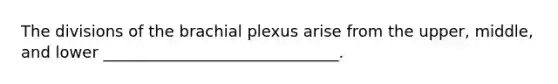 The divisions of the brachial plexus arise from the upper, middle, and lower ______________________________.