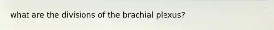 what are the divisions of the brachial plexus?