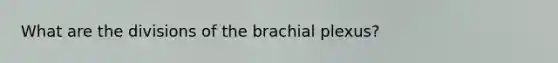 What are the divisions of the brachial plexus?