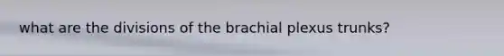 what are the divisions of the brachial plexus trunks?