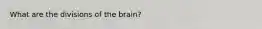 What are the divisions of the brain?