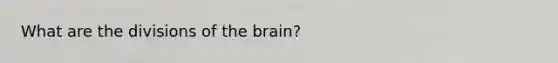 What are the divisions of the brain?