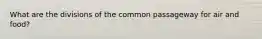What are the divisions of the common passageway for air and food?