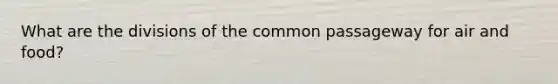 What are the divisions of the common passageway for air and food?