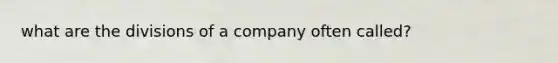 what are the divisions of a company often called?