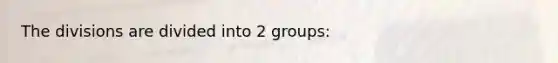 The divisions are divided into 2 groups: