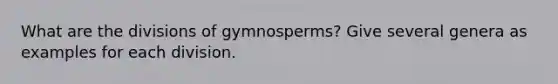 What are the divisions of gymnosperms? Give several genera as examples for each division.