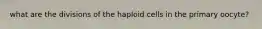 what are the divisions of the haploid cells in the primary oocyte?