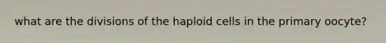 what are the divisions of the haploid cells in the primary oocyte?