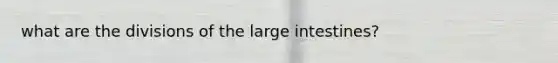 what are the divisions of the large intestines?