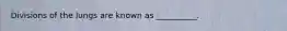 Divisions of the lungs are known as __________.