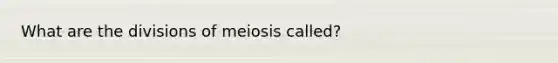 What are the divisions of meiosis called?