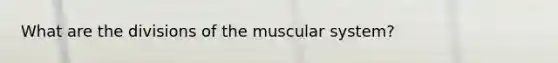 What are the divisions of the muscular system?