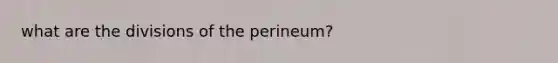 what are the divisions of the perineum?