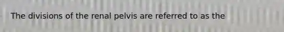 The divisions of the renal pelvis are referred to as the