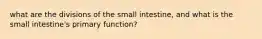 what are the divisions of the small intestine, and what is the small intestine's primary function?