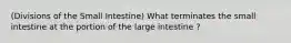 (Divisions of the Small Intestine) What terminates the small intestine at the portion of the large intestine ?