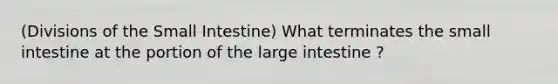 (Divisions of the Small Intestine) What terminates the small intestine at the portion of the large intestine ?